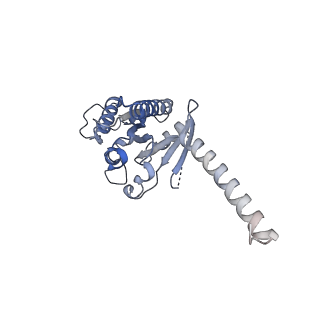 36010_8j6p_A_v1-0
Cryo-EM structure of the MK-6892-bound human HCAR2-Gi1 complex