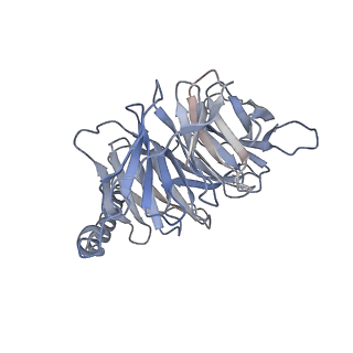 36010_8j6p_B_v1-0
Cryo-EM structure of the MK-6892-bound human HCAR2-Gi1 complex