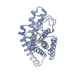 36010_8j6p_R_v1-0
Cryo-EM structure of the MK-6892-bound human HCAR2-Gi1 complex