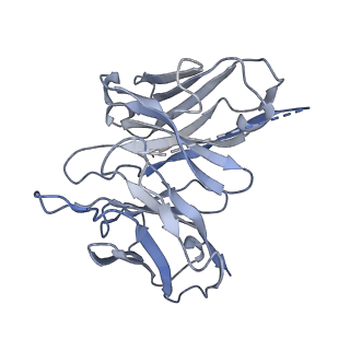 36010_8j6p_S_v1-0
Cryo-EM structure of the MK-6892-bound human HCAR2-Gi1 complex