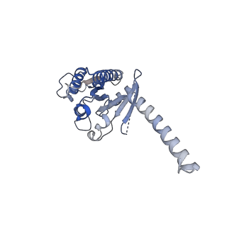 36011_8j6q_A_v1-0
Cryo-EM structure of the 3-HB and compound 9n-bound human HCAR2-Gi1 complex