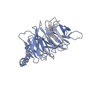 36011_8j6q_B_v1-0
Cryo-EM structure of the 3-HB and compound 9n-bound human HCAR2-Gi1 complex