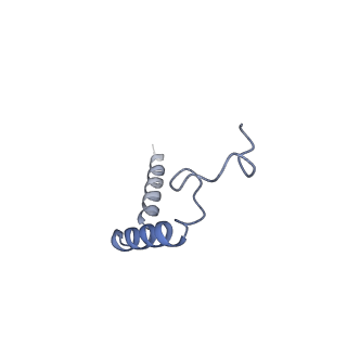 36011_8j6q_G_v1-0
Cryo-EM structure of the 3-HB and compound 9n-bound human HCAR2-Gi1 complex