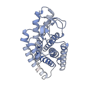 36011_8j6q_R_v1-0
Cryo-EM structure of the 3-HB and compound 9n-bound human HCAR2-Gi1 complex