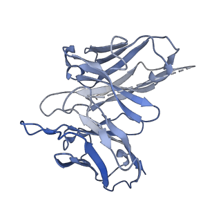 36011_8j6q_S_v1-0
Cryo-EM structure of the 3-HB and compound 9n-bound human HCAR2-Gi1 complex