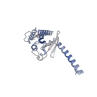 36012_8j6r_A_v1-0
Cryo-EM structure of the MK-6892-bound human HCAR2-Gi1 complex
