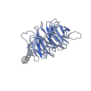 36012_8j6r_B_v1-0
Cryo-EM structure of the MK-6892-bound human HCAR2-Gi1 complex