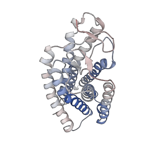 36012_8j6r_R_v1-0
Cryo-EM structure of the MK-6892-bound human HCAR2-Gi1 complex