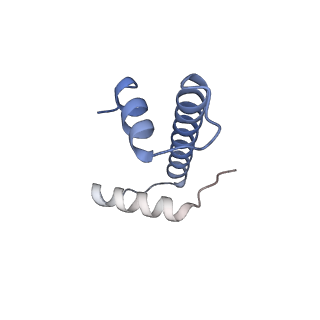 36013_8j6s_A_v1-1
Cryo-EM structure of the single CAF-1 bound right-handed Di-tetrasome