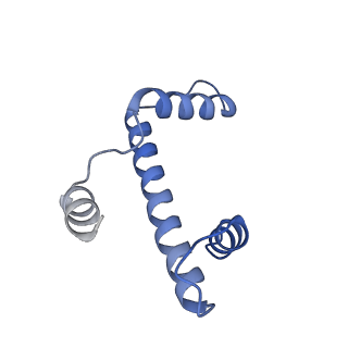 36013_8j6s_C_v1-1
Cryo-EM structure of the single CAF-1 bound right-handed Di-tetrasome