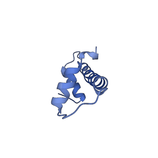 36013_8j6s_D_v1-1
Cryo-EM structure of the single CAF-1 bound right-handed Di-tetrasome