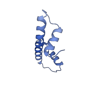 36013_8j6s_F_v1-1
Cryo-EM structure of the single CAF-1 bound right-handed Di-tetrasome