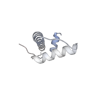36013_8j6s_G_v1-1
Cryo-EM structure of the single CAF-1 bound right-handed Di-tetrasome