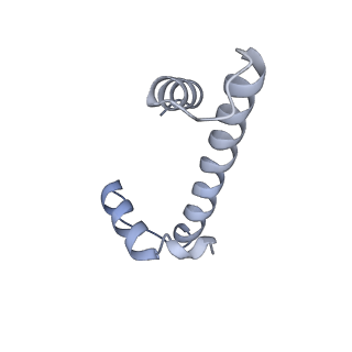 36013_8j6s_H_v1-1
Cryo-EM structure of the single CAF-1 bound right-handed Di-tetrasome
