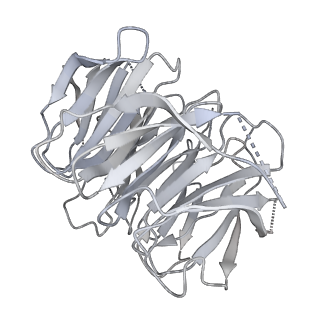 36013_8j6s_L_v1-1
Cryo-EM structure of the single CAF-1 bound right-handed Di-tetrasome