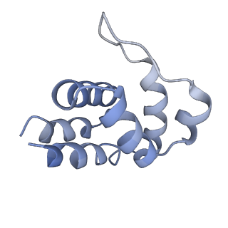 5830_3j63_A_v1-2
Unified assembly mechanism of ASC-dependent inflammasomes