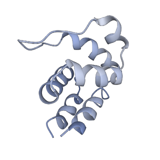 5830_3j63_B_v1-2
Unified assembly mechanism of ASC-dependent inflammasomes