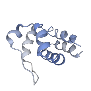 5830_3j63_D_v1-1
Unified assembly mechanism of ASC-dependent inflammasomes