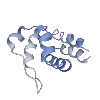 5830_3j63_D_v1-2
Unified assembly mechanism of ASC-dependent inflammasomes