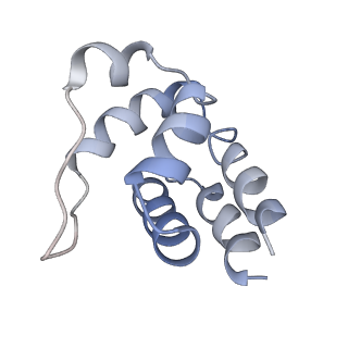 5830_3j63_F_v1-2
Unified assembly mechanism of ASC-dependent inflammasomes