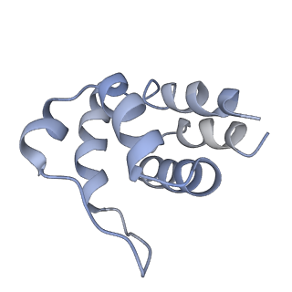 5830_3j63_G_v1-2
Unified assembly mechanism of ASC-dependent inflammasomes