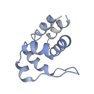 5830_3j63_H_v1-2
Unified assembly mechanism of ASC-dependent inflammasomes