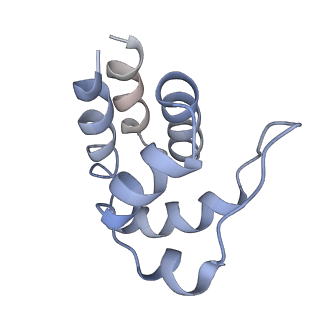 5830_3j63_I_v1-2
Unified assembly mechanism of ASC-dependent inflammasomes