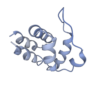 5830_3j63_J_v1-2
Unified assembly mechanism of ASC-dependent inflammasomes