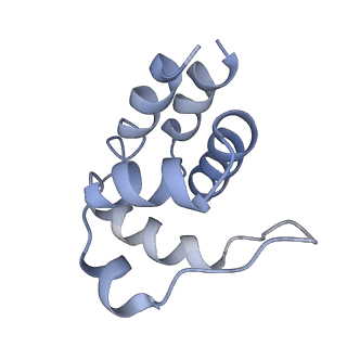 5830_3j63_K_v1-1
Unified assembly mechanism of ASC-dependent inflammasomes
