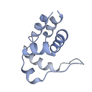 5830_3j63_K_v1-2
Unified assembly mechanism of ASC-dependent inflammasomes