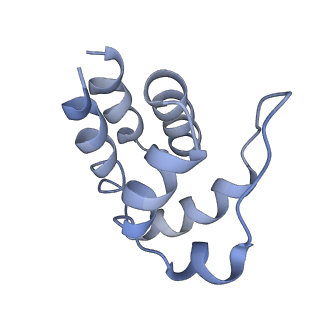 5830_3j63_L_v1-2
Unified assembly mechanism of ASC-dependent inflammasomes