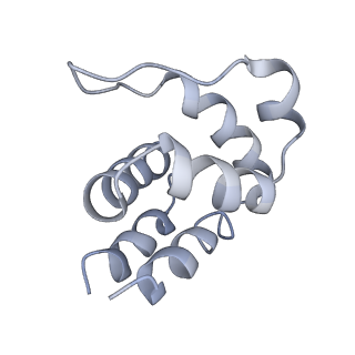 5830_3j63_N_v1-2
Unified assembly mechanism of ASC-dependent inflammasomes