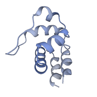 5830_3j63_O_v1-2
Unified assembly mechanism of ASC-dependent inflammasomes