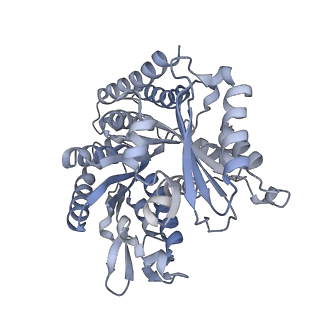 5895_3j6e_D_v1-2
Energy minimized average structure of Microtubules stabilized by GmpCpp