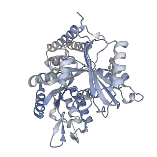 5895_3j6e_G_v1-2
Energy minimized average structure of Microtubules stabilized by GmpCpp