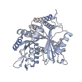 5895_3j6e_I_v1-2
Energy minimized average structure of Microtubules stabilized by GmpCpp