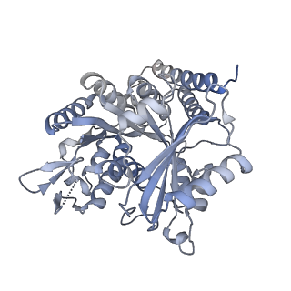 5895_3j6e_K_v1-2
Energy minimized average structure of Microtubules stabilized by GmpCpp