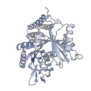 5895_3j6e_M_v1-2
Energy minimized average structure of Microtubules stabilized by GmpCpp