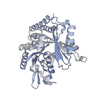 5895_3j6e_N_v1-2
Energy minimized average structure of Microtubules stabilized by GmpCpp