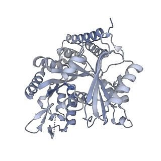 5895_3j6e_O_v1-2
Energy minimized average structure of Microtubules stabilized by GmpCpp