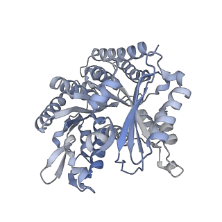 5895_3j6e_P_v1-2
Energy minimized average structure of Microtubules stabilized by GmpCpp