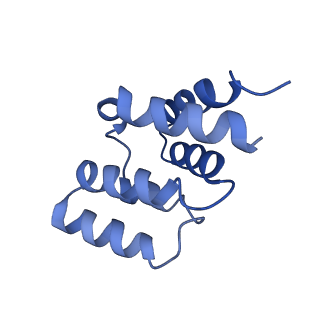 5925_3j6j_A_v1-4
3.6 Angstrom resolution MAVS filament generated from helical reconstruction