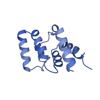 5925_3j6j_E_v1-4
3.6 Angstrom resolution MAVS filament generated from helical reconstruction