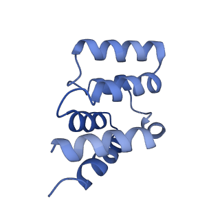 5925_3j6j_G_v1-4
3.6 Angstrom resolution MAVS filament generated from helical reconstruction