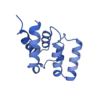 5925_3j6j_I_v1-4
3.6 Angstrom resolution MAVS filament generated from helical reconstruction