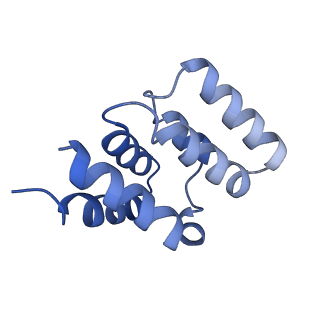 5925_3j6j_L_v1-4
3.6 Angstrom resolution MAVS filament generated from helical reconstruction