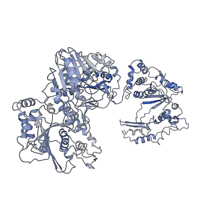 5926_3j6q_A_v1-2
Identification of the active sites in the methyltransferases of a transcribing dsRNA virus