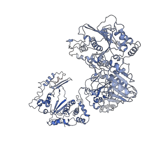 5926_3j6q_D_v1-2
Identification of the active sites in the methyltransferases of a transcribing dsRNA virus