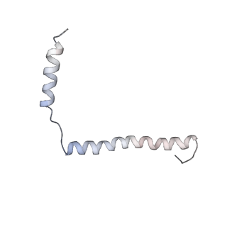 2644_3j7r_2_v1-4
Structure of the translating mammalian ribosome-Sec61 complex