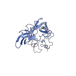 2644_3j7r_A_v1-4
Structure of the translating mammalian ribosome-Sec61 complex